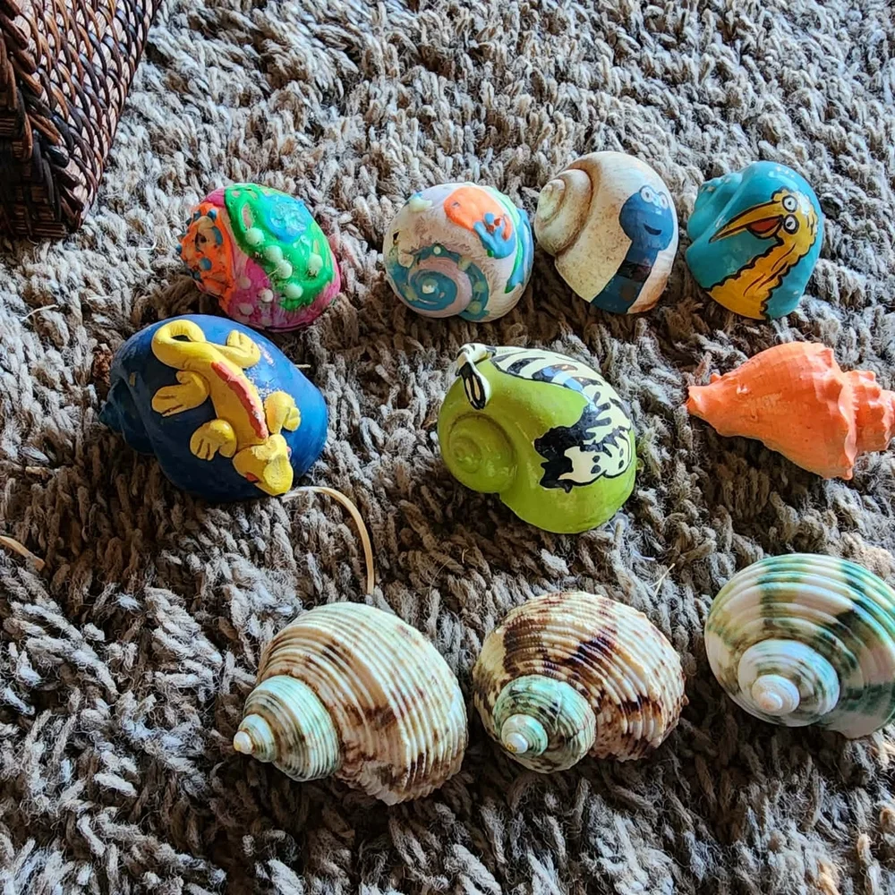 Colorful Painted Seashell Collection